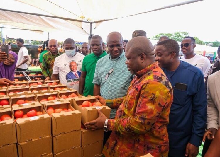 Government Launches Phase I of Major Tomato Production Initiative in Volta Region 1 Hon. Eric Opoku, Minister of Food and Agriculture Inspecting the Freshly Produced Ghanaian Made Tomato in the Volta Region