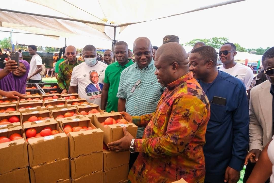 Hon. Eric Opoku, Minister of Food and Agriculture Inspecting the Freshly Produced Ghanaian Made Tomato in the Volta Region