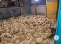 Nkoko Nkitinkiti Initiative Delivers 11,000 Birds to Krowor Beneficiaries 5 11,000 Birds and Counting Delivers for Krowor