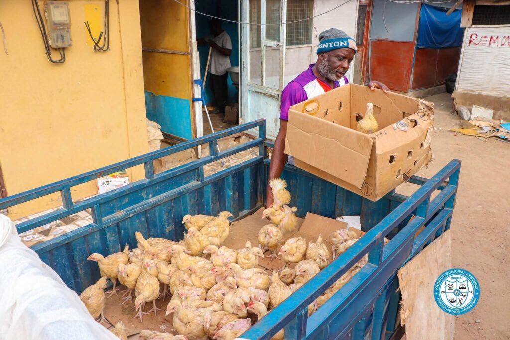 Nkoko Nkitinkiti Initiative Delivers 11,000 Birds to Krowor Beneficiaries 2 IMG 5548