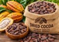 Made-in-Ghana Cocoa