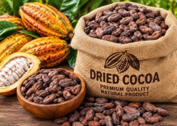 Young Cocoa Farmers Raise Concern Over GH¢63 Increase in Producer Price 3 Made-in-Ghana Cocoa