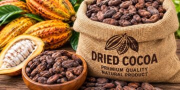 Made-in-Ghana Cocoa