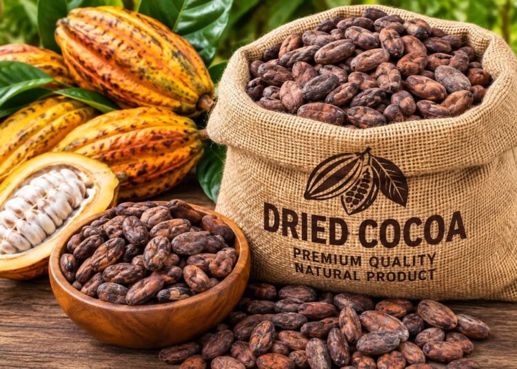 Young Cocoa Farmers Raise Concern Over GH¢63 Increase in Producer Price 1 Made-in-Ghana Cocoa