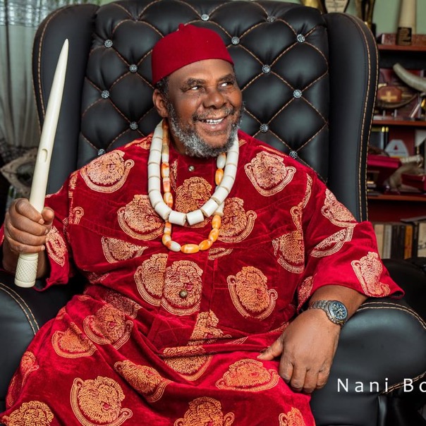 Pete Edochie Arrives in Ghana for Legacy Project Launch 2 IMG 7674
