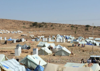 Yemen internally displaced people