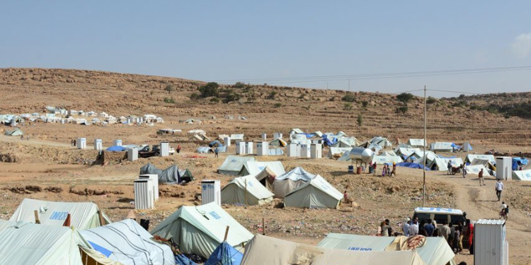 Yemen Internal Displacement Surpasses 104,000 - IOM 1 Yemen internally displaced people