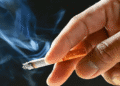 WHO Warns Smoking Raises Infertility Risk 6 A hand holding a lit cigarette with a burning tip