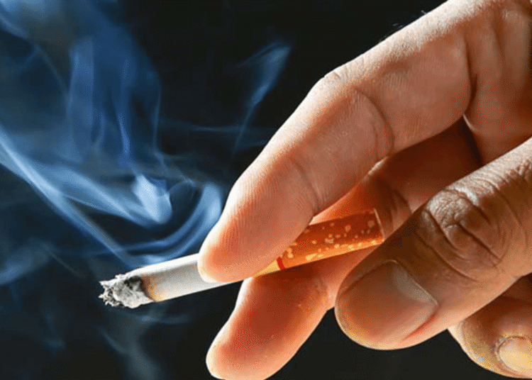 WHO Warns Smoking Raises Infertility Risk 1 A hand holding a lit cigarette with a burning tip