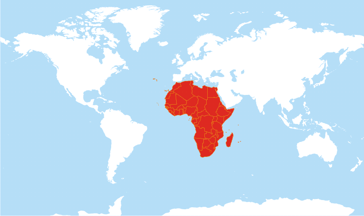 World Map