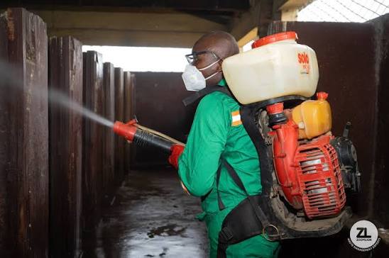 COVID-19 Fumigation: Ghana Spent GHS780 Million, Not GHS96 Million, Probe Reveals 3 Zoomlion Official engaging in Disinfestation and Fumigation Exercise in Eastern Region