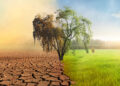 Climate Change and Global Warming