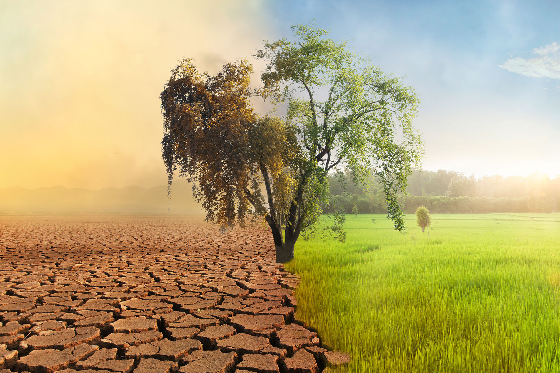 Climate Change and Global Warming