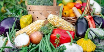 Celebrating the International World Food Day, 2026