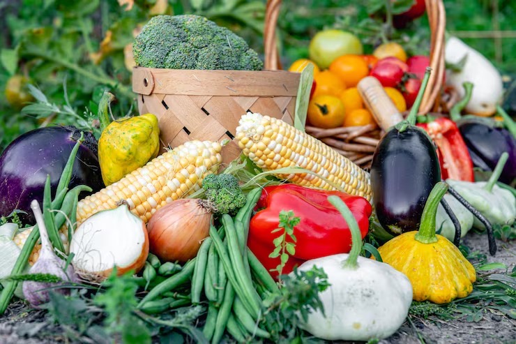 World Food Day: A Focus on Ghana's Agricultural Sector 1 Celebrating the International World Food Day, 2026