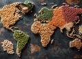 World Food Day Overshadowed by El Niño Threats 7 World Food Day
