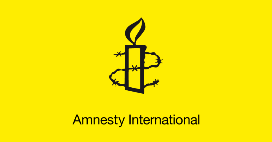 Amnesty InternationaL 2