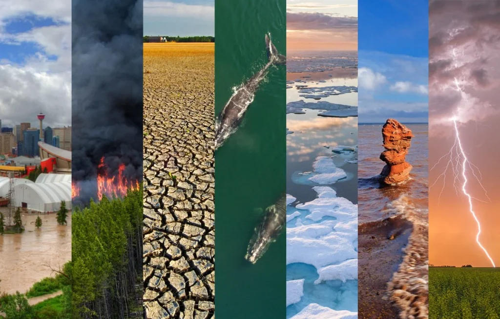 Climate