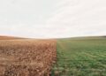 Algeria, Mexico Secure GCF Funding for Climate Resilience 8 A split-view agricultural landscape