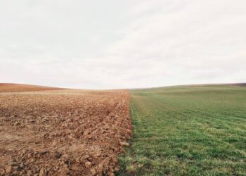 Algeria, Mexico Secure GCF Funding for Climate Resilience 3 A split-view agricultural landscape