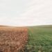 Algeria, Mexico Secure GCF Funding for Climate Resilience 15 A split-view agricultural landscape