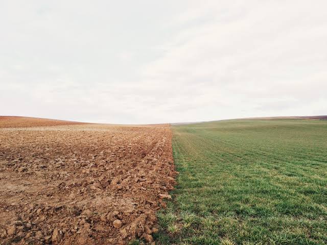 Algeria, Mexico Secure GCF Funding for Climate Resilience 1 A split-view agricultural landscape