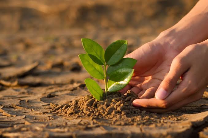 Algeria, Mexico Secure GCF Funding for Climate Resilience 3 Community Based Climate Resilence