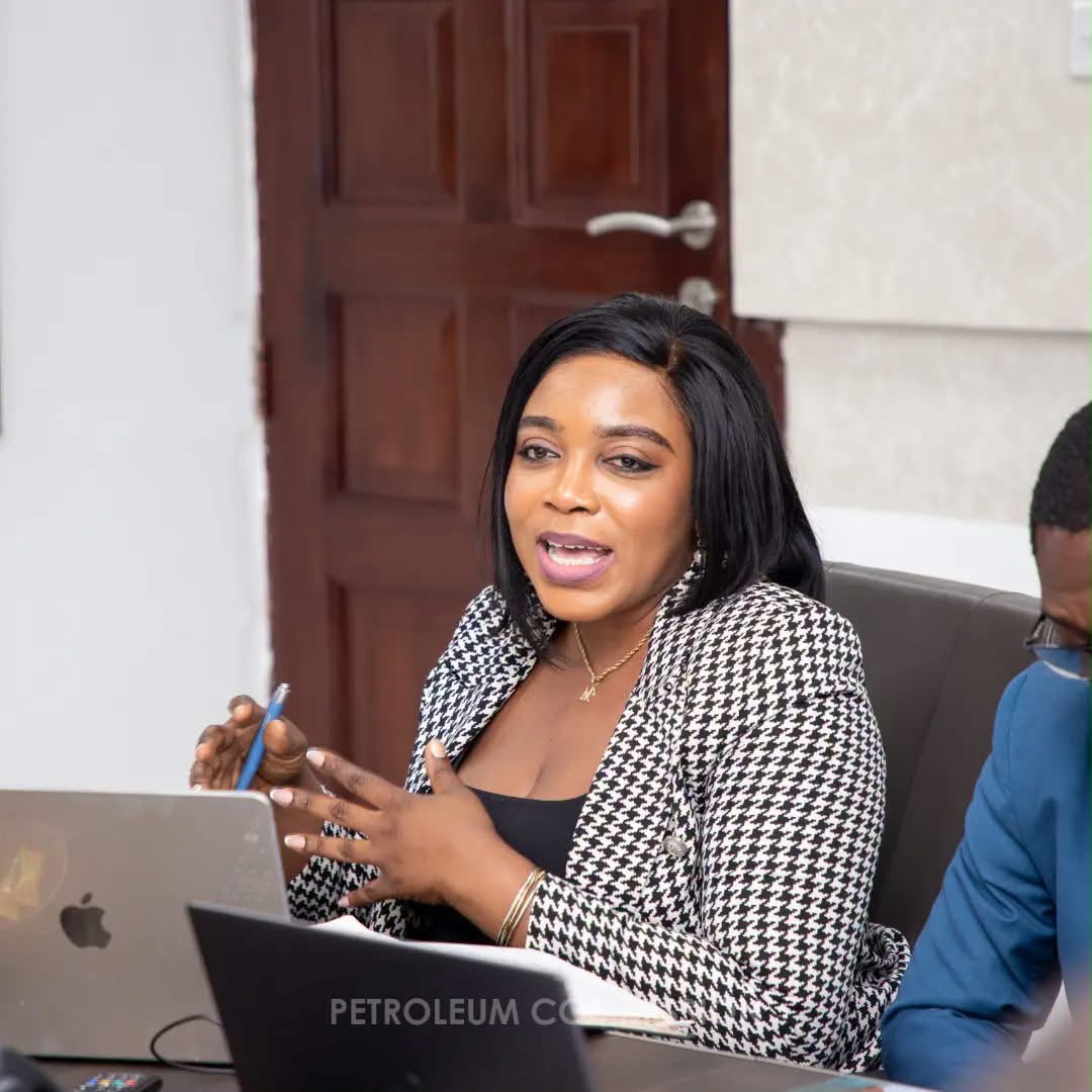 Petroleum Commission Shares Upstream Lessons With Eswatini 4 Photo from engagement
