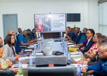 NPA Shares Downstream Regulatory Experience With Eswatini 5 NPA and ENPC Team