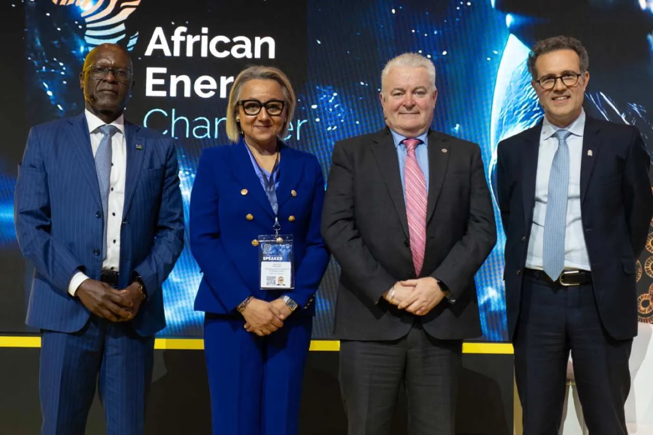 DFC’s $14bn Africa Bet Puts Energy Investment Reforms in Focus 4 Photo from the engagement at AEW 2026
