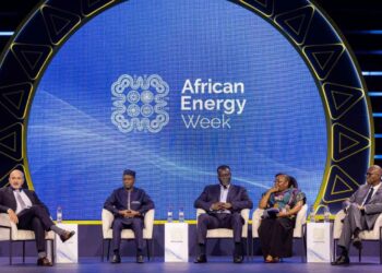 Some African Energy leaders at AEW 2026