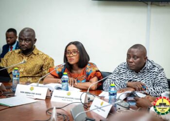 Energy Agencies Cite Gas Supply and Contract Irregularities in Audit 4 Public Account Committee