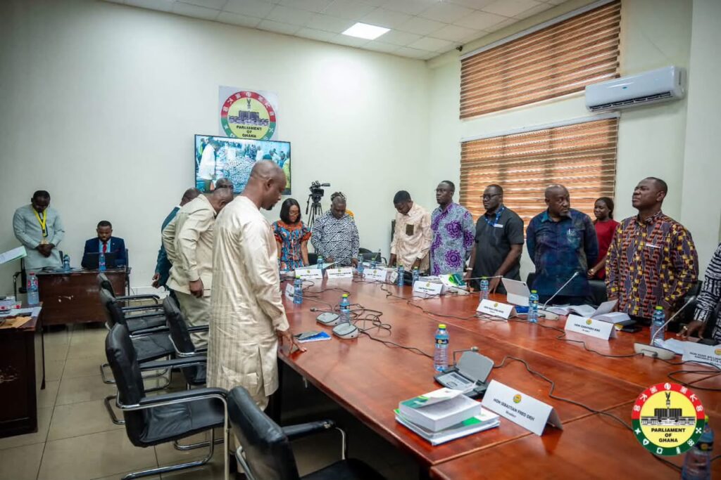 Public Account Committee hearing for the Ministry of Energy and its agencies
