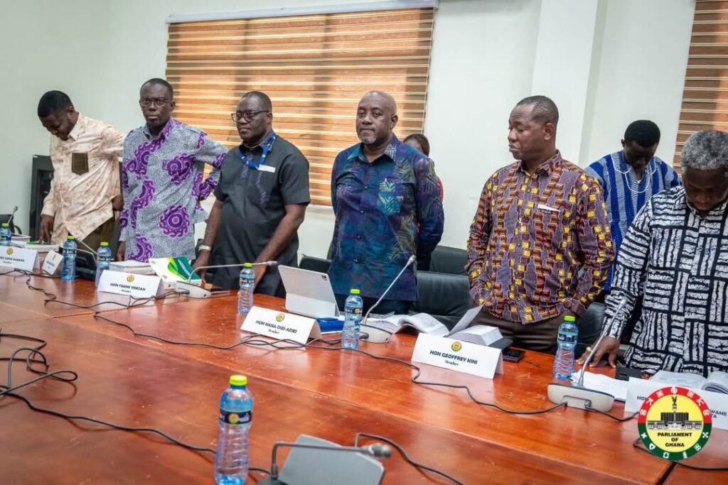 Public Account Committee hearing for the Ministry of Energy and its agencies
