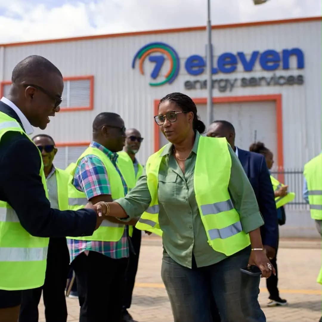 Victoria Emeafa HardCastle, CEO, Petroleum Commission