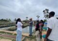 Members of the Chamber of the Aquaculture Team Observing Observing Production Activities.