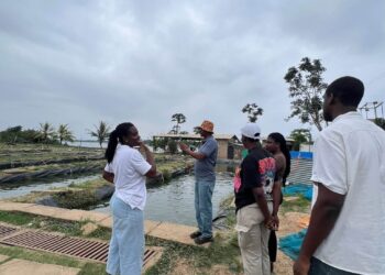Members of the Chamber of the Aquaculture Team Observing Observing Production Activities.