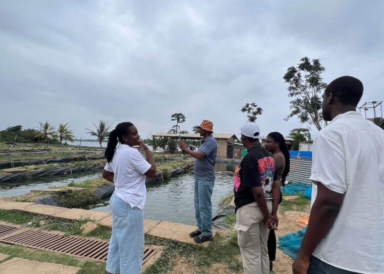 Members of the Chamber of the Aquaculture Team Observing Observing Production Activities.