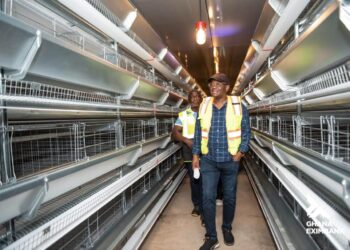 GEXIM Expands Buntaa Farms’ Poultry Capacity 5 GEXIM Bank Inspecting Buntaa Farms as Part of Efforts to Support Local Eggs Production