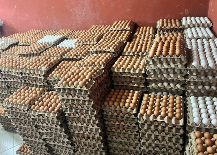 Made-In- Ghana Eggs