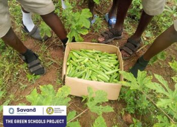 School Gardens Harvest Gains for Education and Sustainability 7 The Green School Project by the Savana Signatures