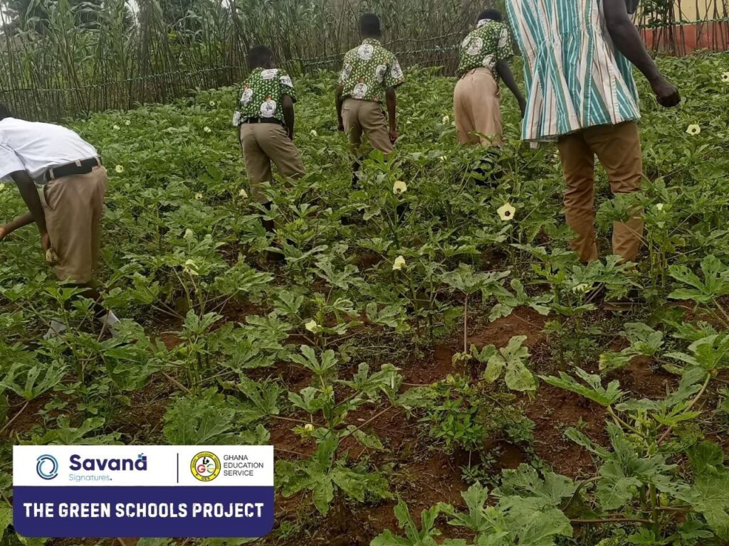 School Gardens Harvest Gains for Education and Sustainability 4 IMG 5960