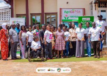 Participants in a Group Picture After the Adwumawura Programme