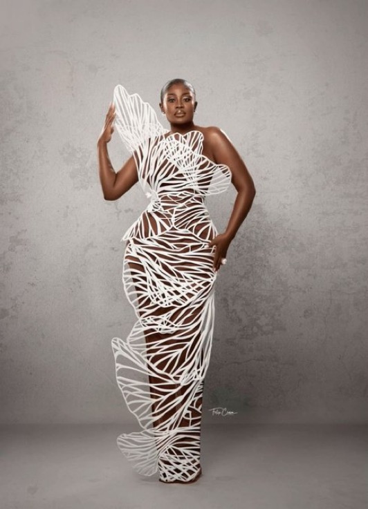 Nana Akua Addo Seeks Major Assets in Divorce Case 2 IMG 7952