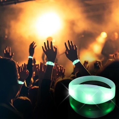 Fans Urge LED Wristbands for ‘BHIM Fest’ 2026 3 IMG 8852