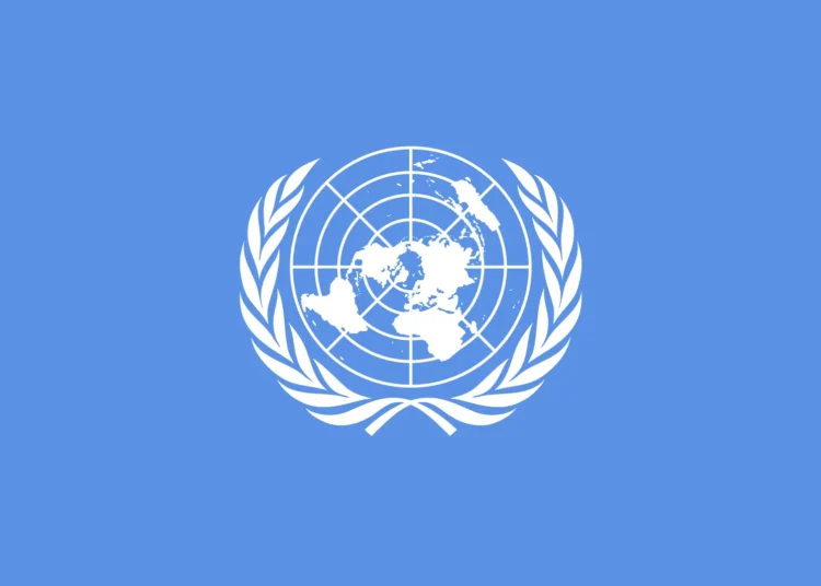 11.7m More Women Could Face Food Insecurity by End-2026 – UN Women 1 United Nations