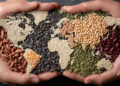World Food Day Overshadowed by El Niño Threats 6 World Food Day