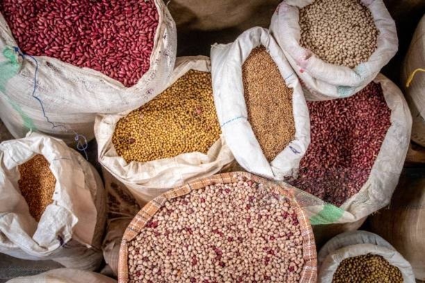 World Food Day: A Focus on Ghana's Agricultural Sector 3 f6742957 fd3a 4fcd 8870 5fad1fc42441