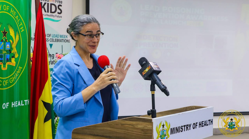 Ghana Intensifies Call for Action on Lead Poisoning 4 image 538