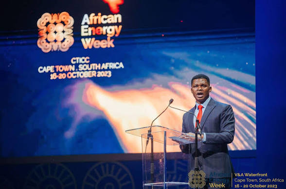 NJ Ayuk, Executive Chairman, African Energy Chamber
